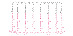  8 brazos Polietileno  glicol succinimidilo succinamida (HG) 