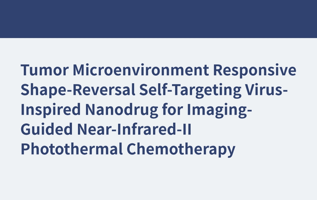 Nanofármaco inspirado en virus autodirigido con inversión de forma sensible al microambiente tumoral para quimioterapia fototérmica de infrarrojo cercano II guiada por imágenes
    