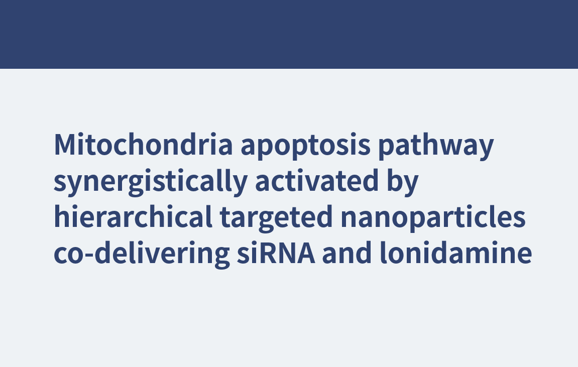 Vía de apoptosis de las mitocondrias activada sinérgicamente por nanopartículas dirigidas jerárquicamente que entregan siRNA y lonidamina conjuntamente