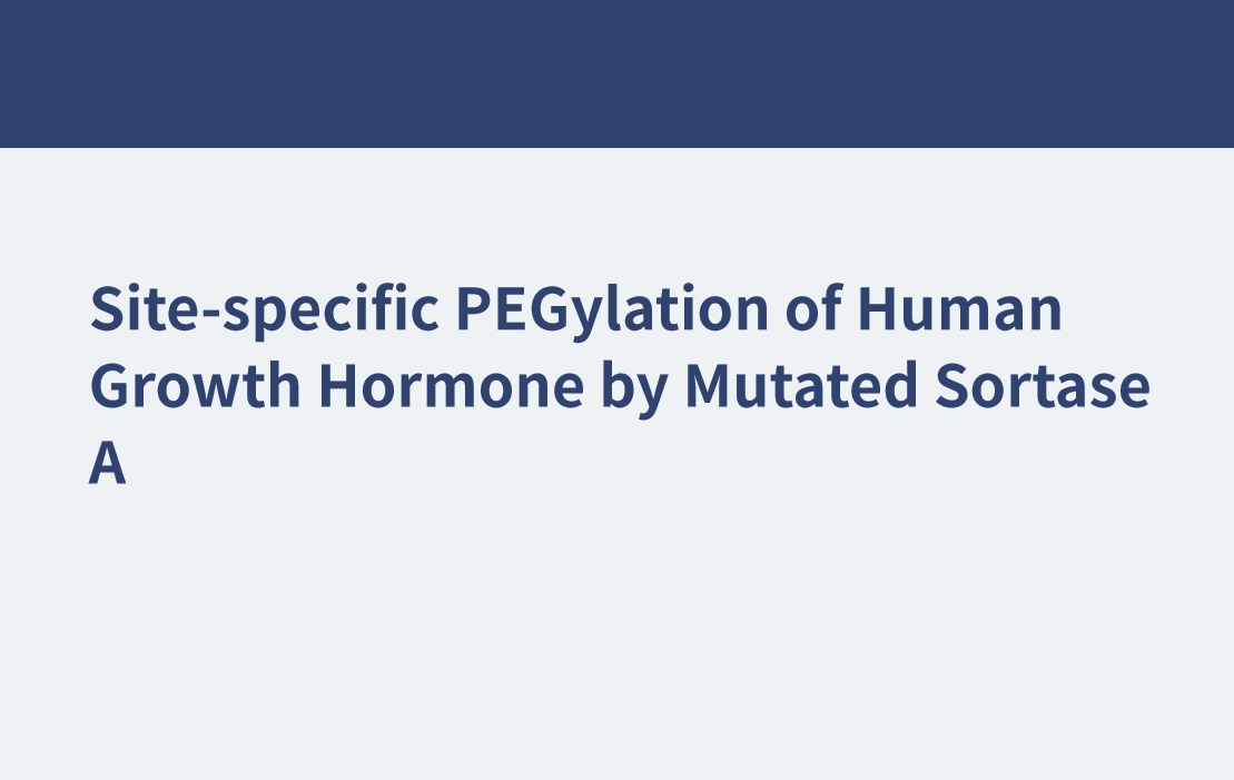 Pegilación específica del sitio de la hormona del crecimiento humano mediante sortasa A mutada