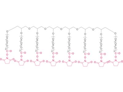  8 brazos Polietileno  glicol succinimidilo carbonato (HG) [8 brazos PEG-SC (HG)]  