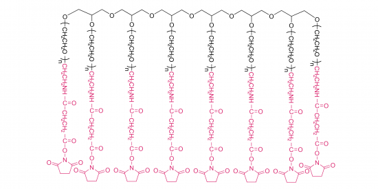  8 brazos Polietileno  glicol succinimidilo succinamida (HG) 