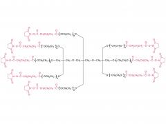 8 brazos peg-sg (tp)