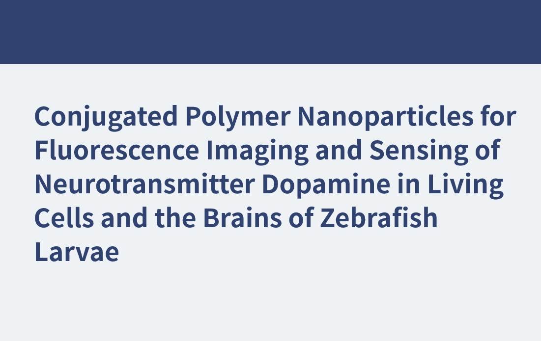 Nanopartículas de polímeros conjugados para imágenes de fluorescencia y detección del neurotransmisor dopamina en células vivas y cerebros de larvas de pez cebra
    