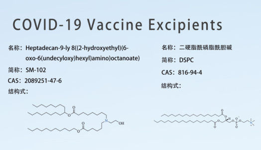 Discusión sobre COVID-19 Vacuna Excipientes 