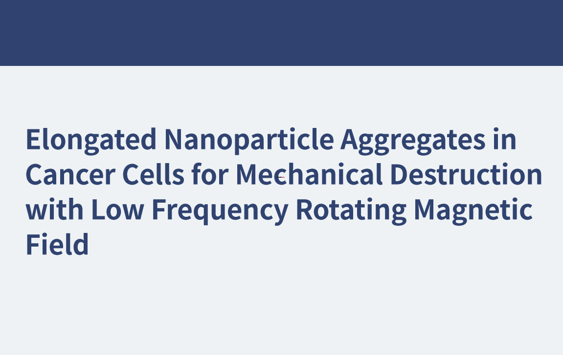 Agregados de nanopartículas alargadas en células cancerosas para destrucción mecánica con campo magnético giratorio de baja frecuencia