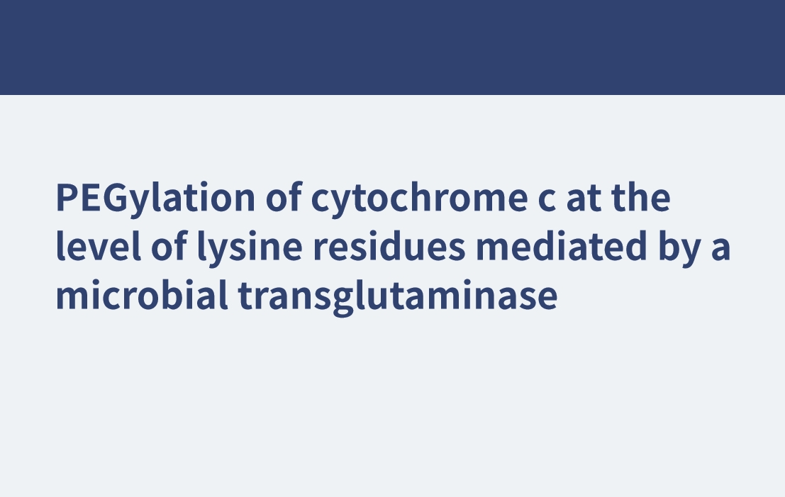 PEGilación del citocromo c a nivel de residuos de lisina mediada por una transglutaminasa microbiana
    