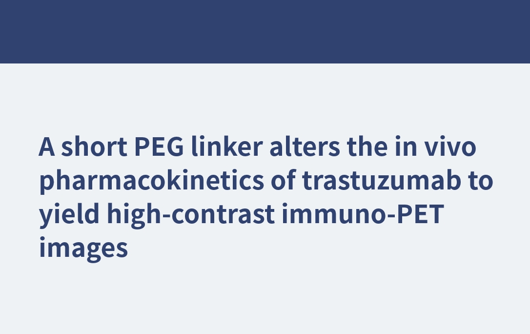 Un conector de PEG corto altera la farmacocinética in vivo de trastuzumab para producir imágenes de inmuno-PET de alto contraste