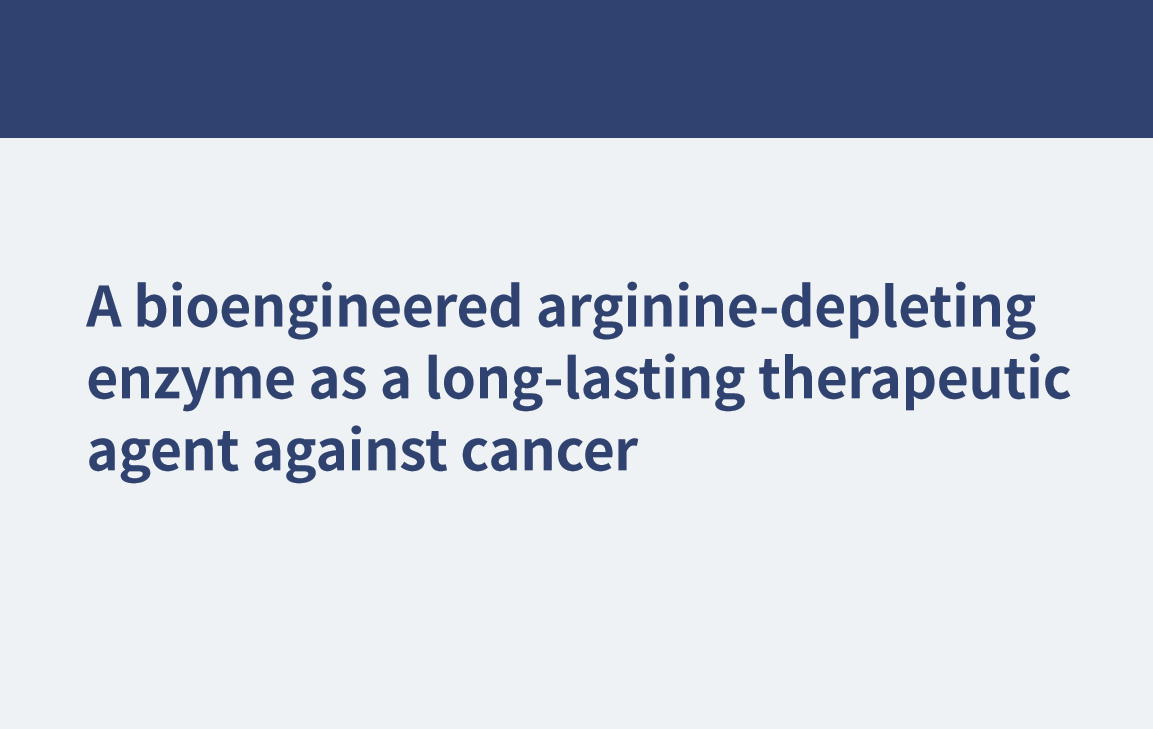 Una enzima bioingeniería que agota la arginina como agente terapéutico de larga duración contra el cáncer