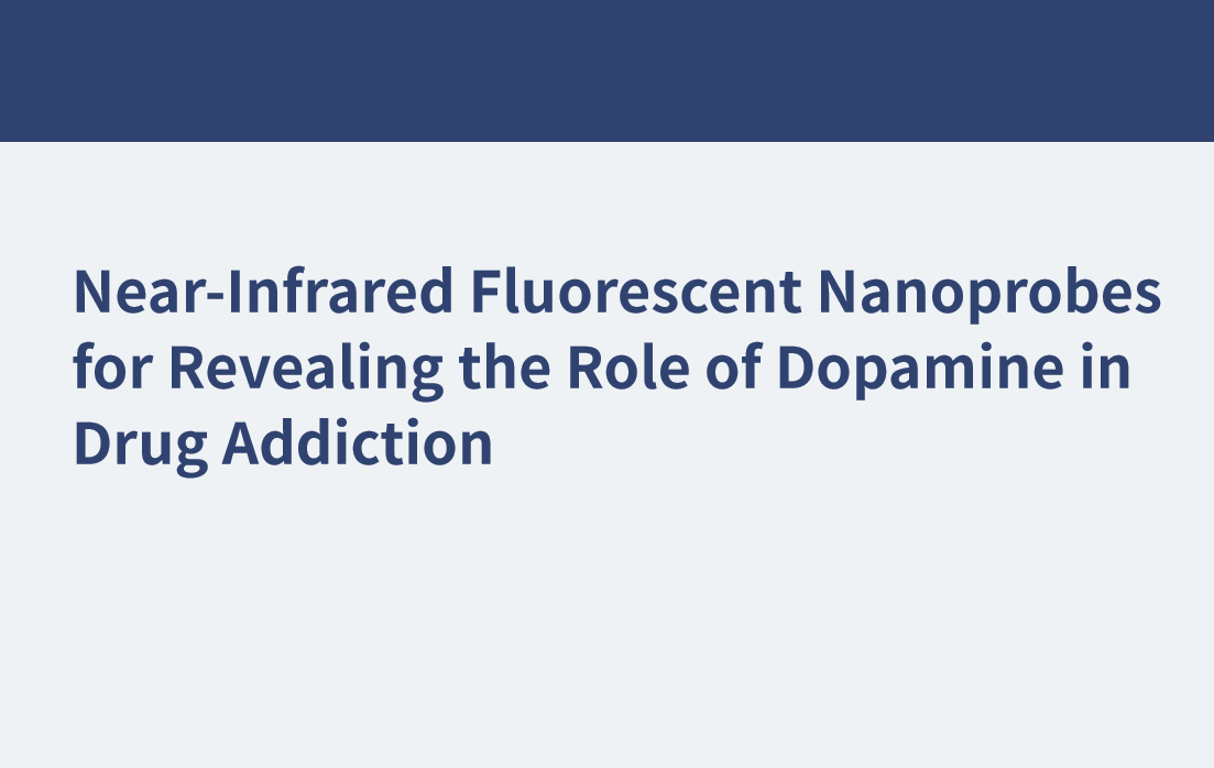 Nanosondas fluorescentes de infrarrojo cercano para revelar el papel de la dopamina en la drogadicción
    