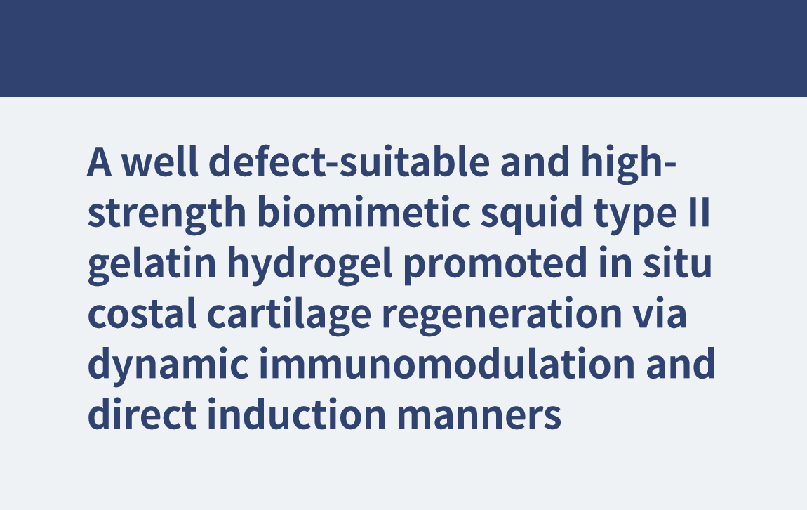 Un hidrogel de gelatina de calamar tipo II biomimético de alta resistencia y adecuado para defectos promovió la regeneración del cartílago costal in situ a través de la inmunomodulación dinámica y las formas de inducción directa