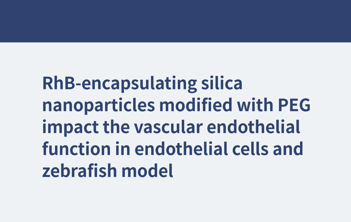 Las nanopartículas de sílice que encapsulan RhB modificadas con PEG afectan la función endotelial vascular en células endoteliales y modelo de pez cebra