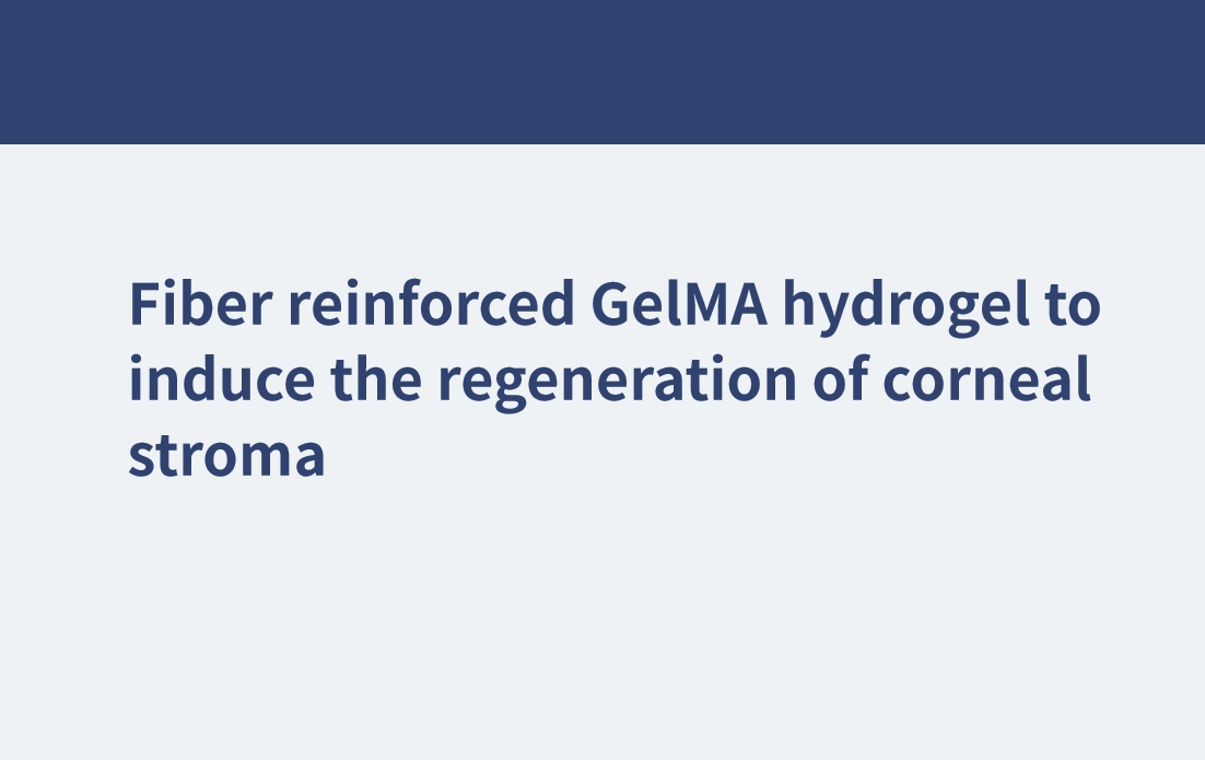 Hidrogel GelMA reforzado con fibra para inducir la regeneración del estroma corneal