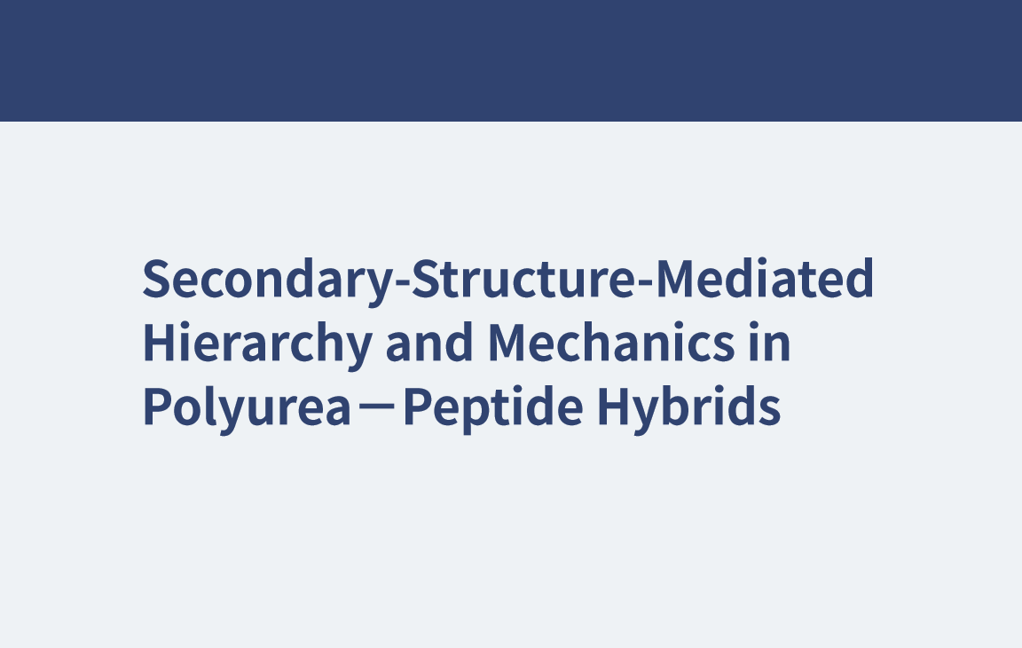Jerarquía mediada por estructura secundaria y mecánica en híbridos de poliurea-péptido