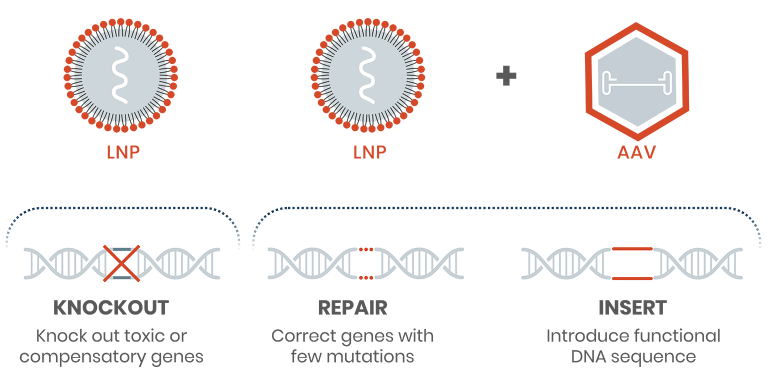 Aplicación LNP: Terapia de edición genética